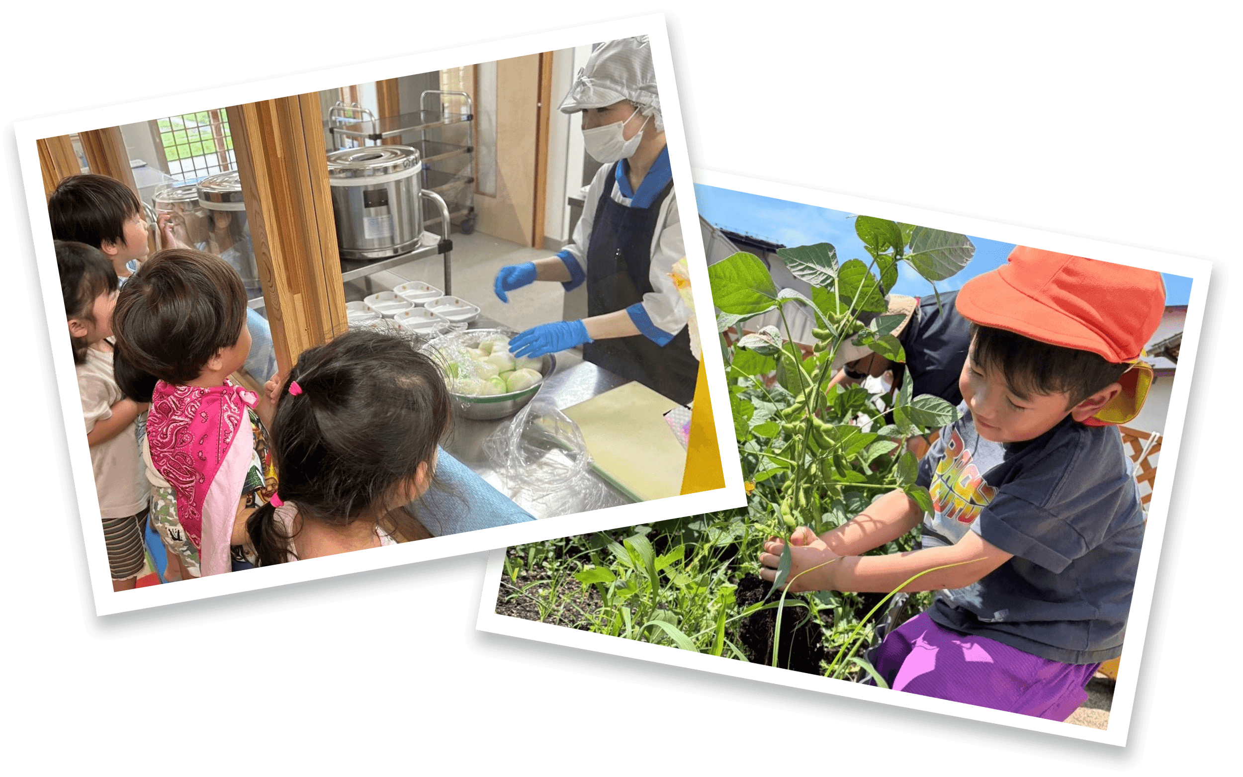 園児たちが遊ぶ様子の写真